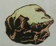 ÖÏ Ö 5 : - ÖÖ»Öß»Ö ü»öê»µöö ÖµÖÖÔµÖÖ Ö Öæ Ö ÖÖê ÖÖ ÖãÃÖÖ ü ÖœüŸÖÖ Îú Ö»ÖÖ¾ÖÖ ¾Ö µööêµö ÖµÖÖÔµÖ»ÖÆüÖ. 1. ÖÆüÖ Ö, ²ÖÃÖ, êü»¾öê, ¾Ö ÖÖ Ö 2. êü»¾öê, ÖÆüÖ Ö, ²ÖÃÖ, ¾Ö ÖÖ Ö 3.