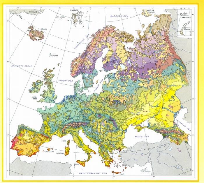 Biogeográfiai jellemzők A nagyléptékű zonalitás helyébe a kisléptékű mozaikosság lép Karte der natürlichen Vegetation