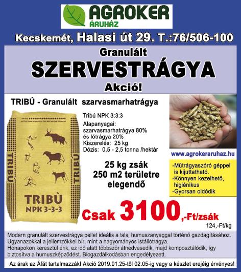 0670/624-5475 KISBÚTOROKAT, vitrintárgyakat, tányérokat, készleteket, CD-ket, kazettákat, retro dekorációs, érdekes tárgyakat vennék készpénzért. Fiatal gyűjtő.