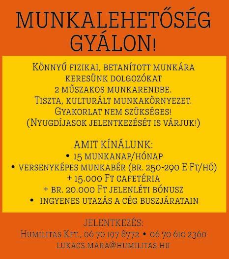 TANYÁRA férfi munkavállalót keresek állatok mellé, ott lakással. Merino Kft 0630/477-56-05 A HÍRÖS Szerszámbolt Kft. sofőrt keres belföldi szállításra, nyerges kamionra. Bér megegyezés szerint.