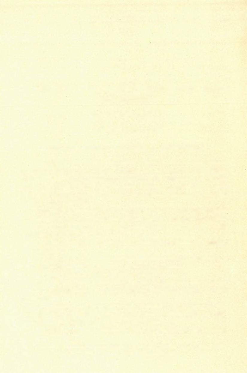 2, Közlemények a magyar királyi földtani intézet chémiai laboratóriumából, (Tizedik sorozat. 1897.) * K álecsinszky SÁNDOR-tÓl. I. A datok a chém iai laboratórium történetéhez.
