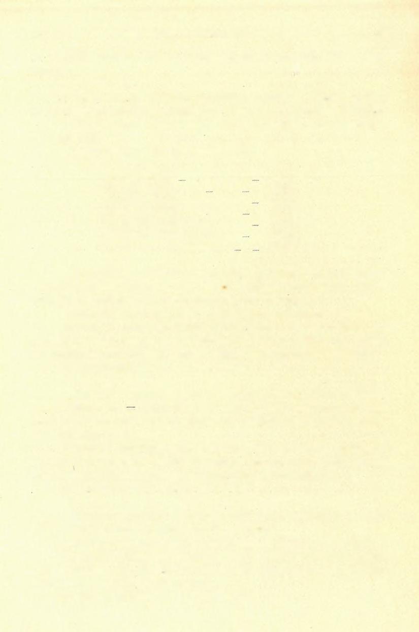 (3) KÖZLEMÉNYEK A CHEMIAI LABORATÓRIUMBÓL. 19 9 Vagyis azt látjuk, hogy a megvizsgált kőzet nem egyéb, mint normális dolomit. 3. L u k a r e c z i b a z a lt.