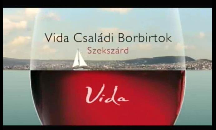 A Bizottság álláspontja szerint a buli kifejezés nem kapcsolható össze kizárólagosan a fiatalokkal, a szórakozás kifejezésére a buli szó korhatár nélkül jellemző.