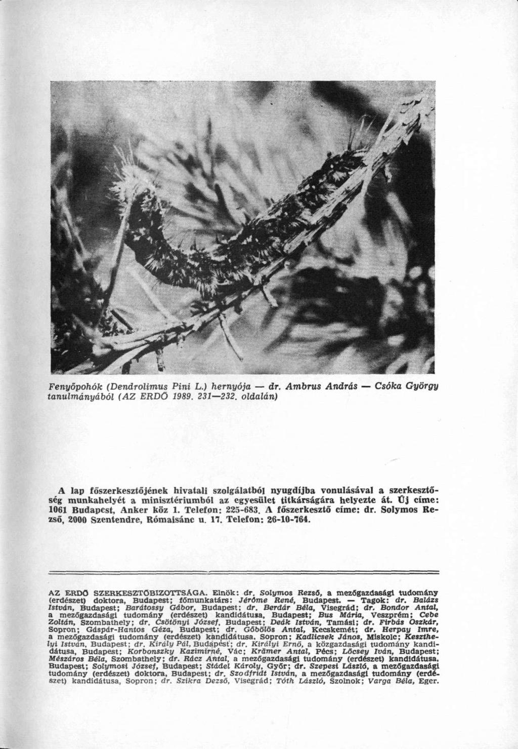 Fenyőpohók (Dendrolimus Pini L.) hernyója dr. Ambrus András Csóka György tanulmányából (AZ ERDŐ 1989. 231 232.