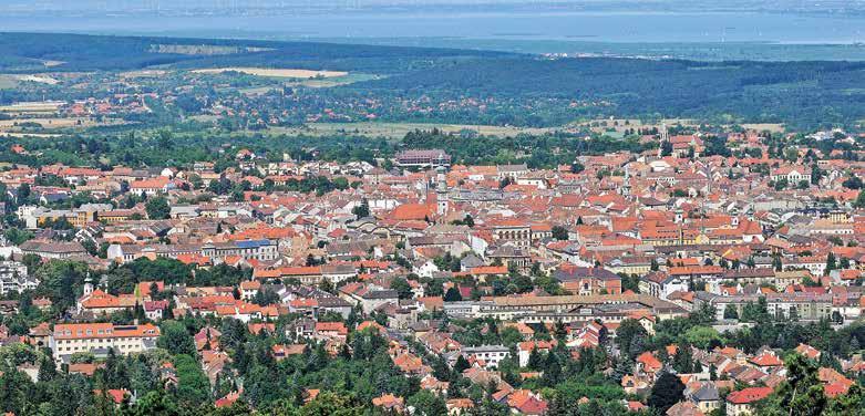 Közös döntések, közös eredmények Tisztelt Soproniak! Büszkék lehetünk közös eredményeinkre, melyeket széles összefo gással valósítottunk meg.