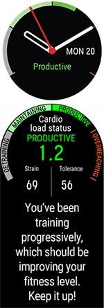 A Cardio Load Status (Kardióterhelési állapot) a rövid távú edzési terhelés (Strain/Megterhelés) és a hosszú távú edzési terhelés (Tolerance/Tolerancia) közötti kapcsolatot vizsgálja, és ezek alapján