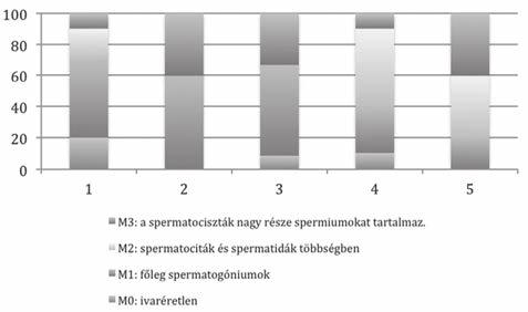 Tudomány HALÁSZAT Vol. 106/3. (2013) pp. 25 28. A barramundi (Lates calcarifer) testtömege és testhossza a herék különböző érettségi stádiumaiban.