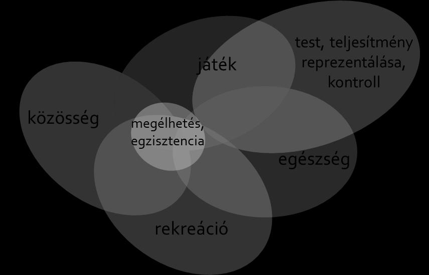 2. ábra A sportolási motivációk Forrás: Saját szerkesztés A motivációk közül kiemelkedik az egészség témaköre, hiszen nagyon sokan azért végeznek sporttevékenységet, hogy megőrizzék fizikai