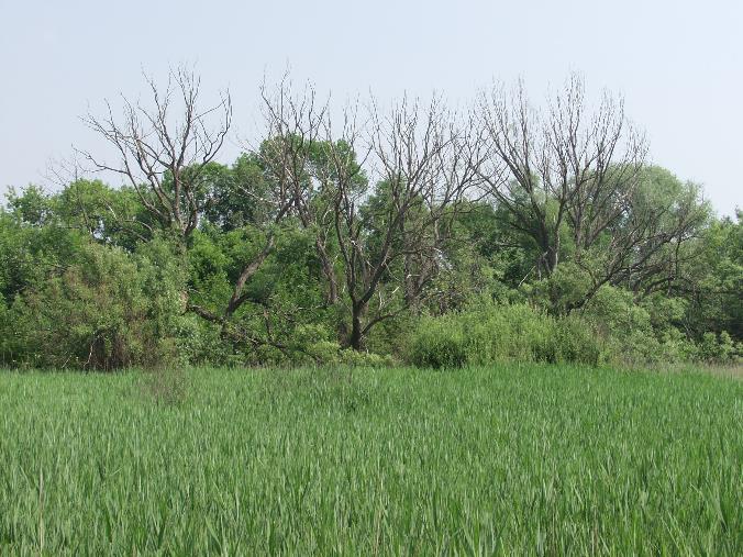 Fertő-Hanság Nemzeti Park Dr.