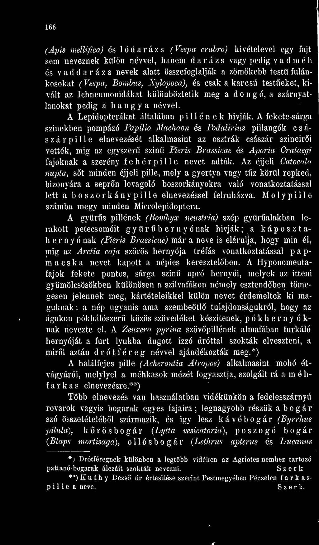 A fekete-sárga színekben pompázó Papilio Machaon és Podalirius pillangók császár p i 1 1 e elnevezését alkalmasint az osztrák császár színeirl vették, míg az egyszer szín Pieris Brassicae ós Aporia