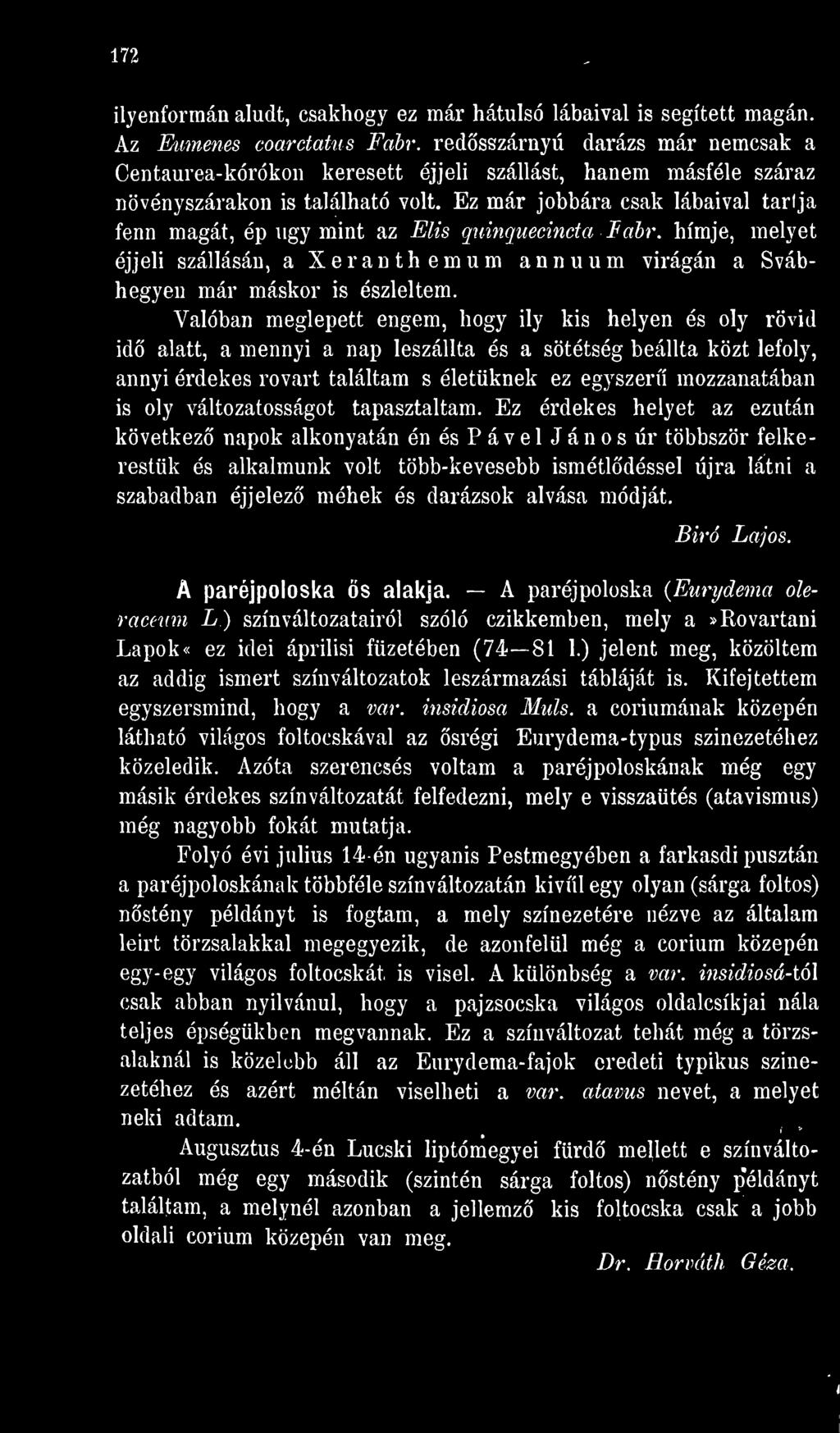 Ez már jobbára csak lábaival tarlja fenn magát, ép ugy mint az Elis quinquecincta Fabr. hímje, melyet éjjeli szállásán, a Xeranthemum annuum virágán a Svábhegyen már máskor is észleltem.