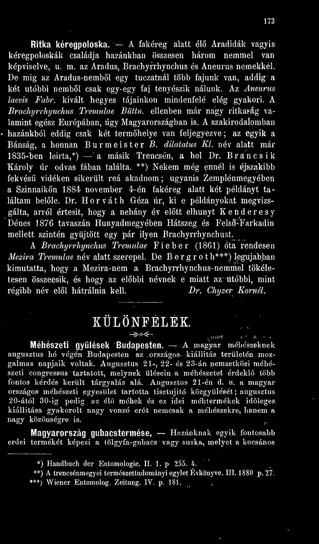 Brancsik Károly úr odvas fában találta.