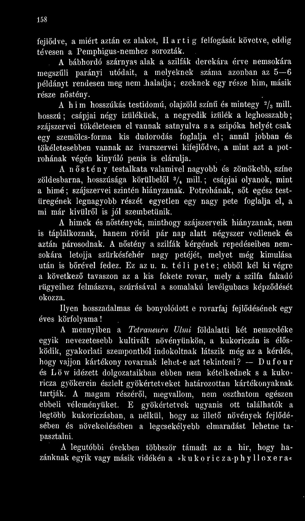 A h i m hosszúkás testidomú, olajzöld szín ós mintegy 2 /z mill.