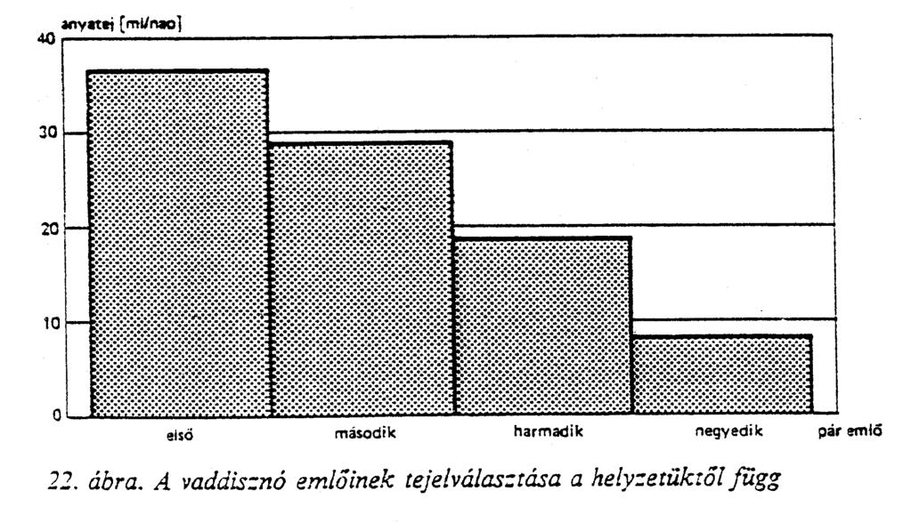 a domináns általában: gyorsabban fejlődik (vadmalacok) nagyobbra nő tovább él többet