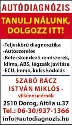 folytatására utalnak, az ezzel kapcsolatos jogvitákból keletkező következményeket és hátrányokat a Megrendelőre hárítja.