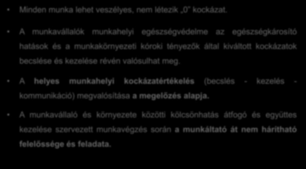 Egészségvédelem: a kockázatértékelésen alapuló megelőzés Minden munka lehet veszélyes, nem létezik 0 kockázat.