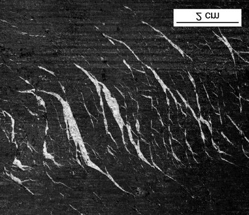 368 TÓTH E. et al.