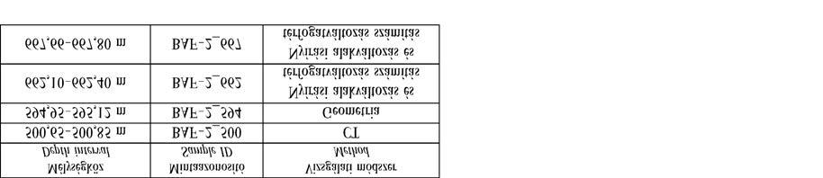 Földtani Közlöny 148/4 (2018) 373 egyetlen fúrás sem tárta fel, legnagyobb vastagságban a XV. szerkezetkutató fúrás (~870 m) és a BAF 2 (~905 m) fúrás harántolta (MÁTHÉ 2015).