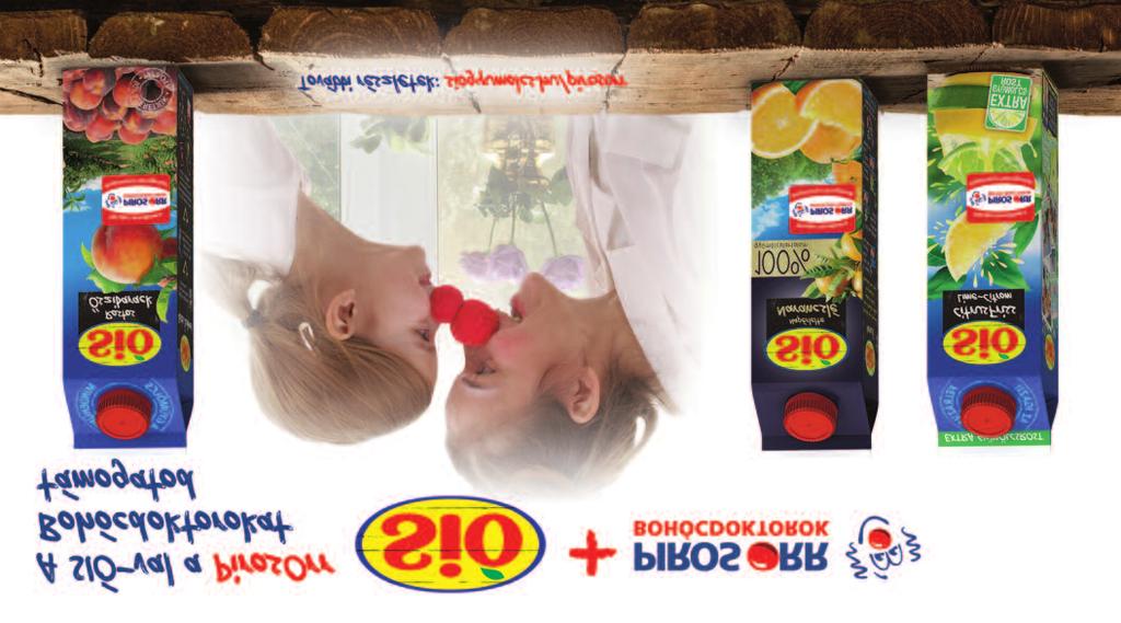 ôszibarack, feketeribizli 1 l