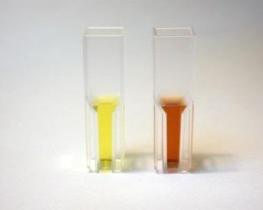 4.4. A glutamin-szintetáz in vitro aktivitás mérése 4. Anyagok és módszerek A kísérlethez nyers vagy tisztított fehérjeextraktumot használtuk.