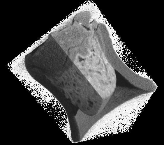 mm THz-es átvilágítás és X-ray radiografiája az edénynekr: Neutronos