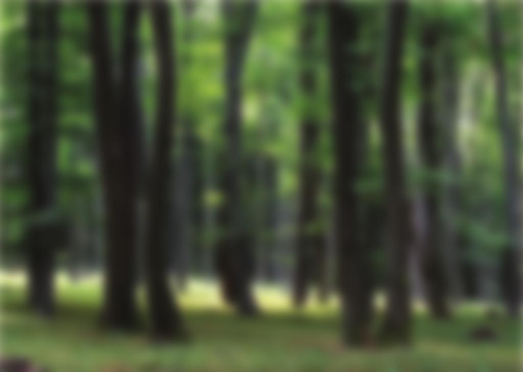 N 66 Sásdi Erdészet 6 Csodaszarvas tanösvény Sásd 67 Szigetvár Vendégház Kikerics Erdei Iskola és Faházak 67 Almamelléki Állami Szentlászló Erdei Vasút Almamellék Ezüsthárs tanösvény Szigetvári