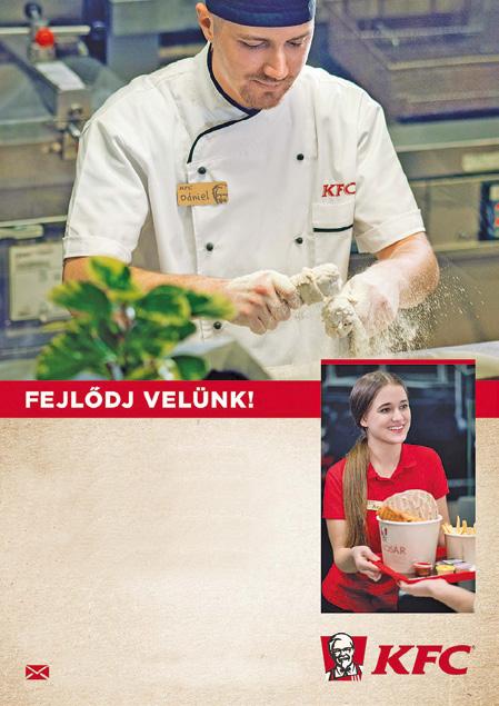 Főként acélszerkezetek, berendezések, csővezeték stb. homokfúvása -mázolása. Magasban végzett munkák miatt a tériszony kizáró ok! A NIFAST Hungary Kft.
