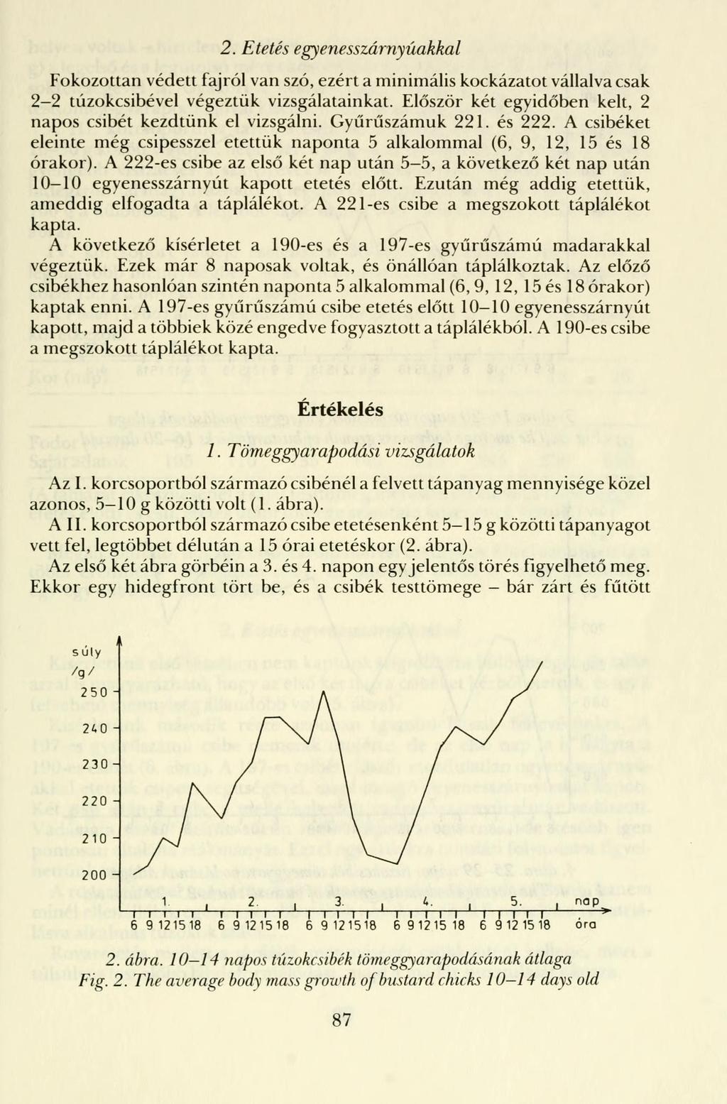 2. Etetés egyenesszárnyúakkal Fokozottan védett fajról van szó, ezért a minimális kockázatot vállalva csak 2-2 túzokcsibével végeztük vizsgálatainkat.