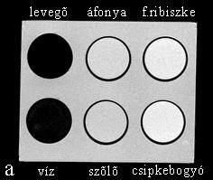 4. fejezet EREDMÉNYEK 4.1.2. A vizsgált anyagok 4.1.2.1. SNR mérések Először az ismert kontrasztanyagokat mértük (4.3. táblázat).