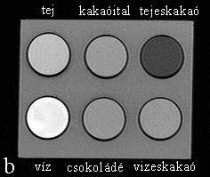 4. fejezet EREDMÉNYEK A 4.14. ábrán a T1- és T2-súlyozott képen mért jelintenzitásokból számolt jel/zaj arány értékek vasmennyiségtől való függését tüntettük fel a vas-desferrioxamin oldat esetében.