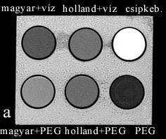 A hidroxietilcellulóz és a kakaó keveréke (50 g/l kakaópor) homogén képletként ábrázolódott, jelintenzitása viszonylag alacsony volt az in vitro méréseken (4.19. ábra). Az említett mérések a 1.