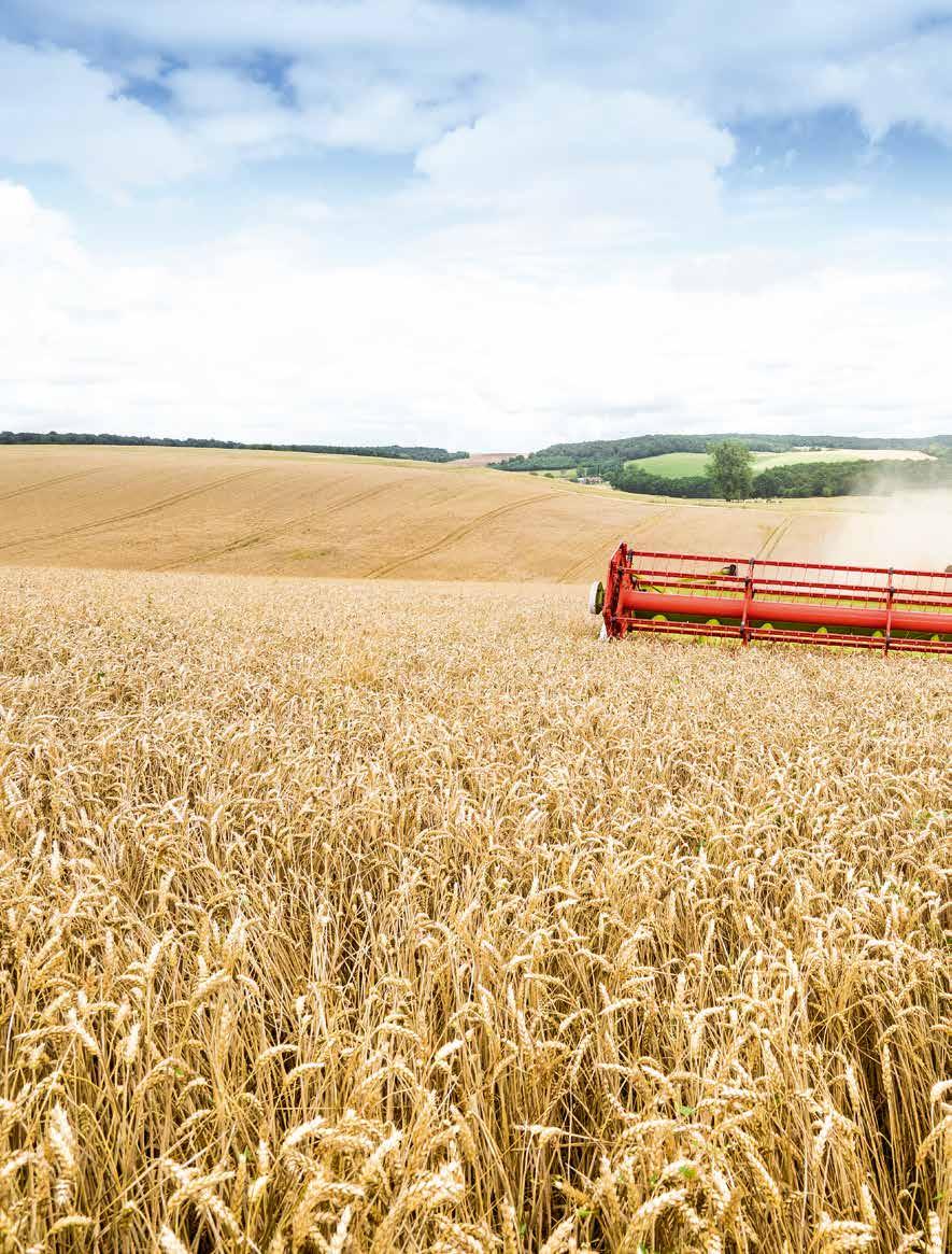 KARBANTARTÁS ASSZISZTENCIA RENDSZEREK 12 CLAAS LEXION 700 SOROZAT: TÖBBET ÉSSZEL, MINT ERŐVEL!
