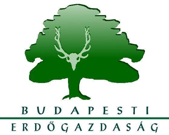 Ikt. szám: VEZ/3-9/2019.
