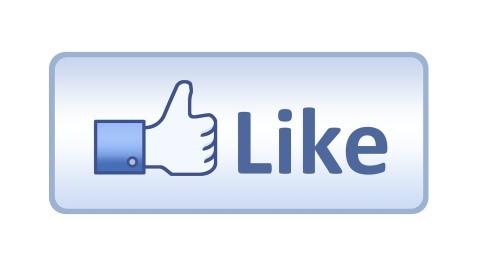 FACEBOOK A Díjlovagló Szakbizottság facebook oldalát kedvelők száma összesen: 1 929 fő, míg követője 1961 fő.