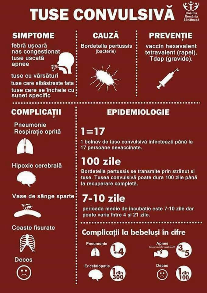 SZAMÁRKÖHÖGÉS enyhe láz bedugult orr száraz köhögés apnoé/légzésszünet Bordetella pertussis (baktérium) hexavalens, tetravalens oltás (megismételt) Tdap (terhes nők) köhögés