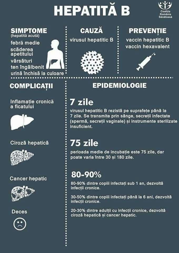 HEPATITIS B (heveny hepatitis) közepes láz étvágycsökkenés kiütések megsárgult bőr sötét színű vizelet Hepatitis B vírus hepatitis B elleni oltás hexavalens oltás A máj idült gyulladása 7 nap A