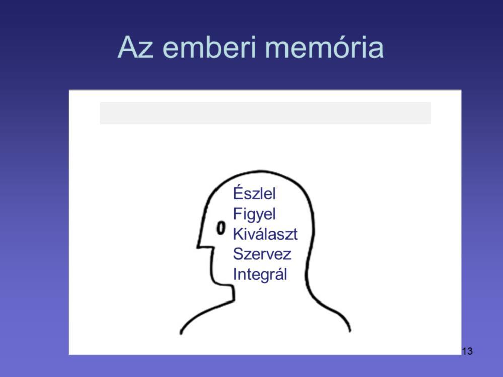 Egy prezentáció folyamán, a hallgatóság tagjainak a memóriája határozza meg, hogy az információ milyen jól rögződik az elmében.