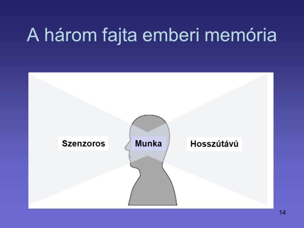 Az elmét tanulmányozó kognitív pszichológusok általában