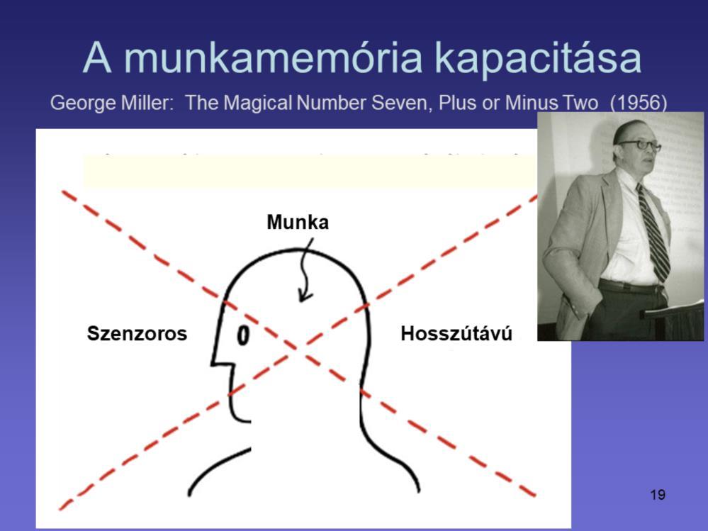 Az elraktározott információmennyiség változhat. Egy fontos cikkben "The Magical Number Seven, Plus or Minus Two, George Miller pszichológus úgy találja, hogy 5-9 tételt tud a munkamemória feldolgozni.