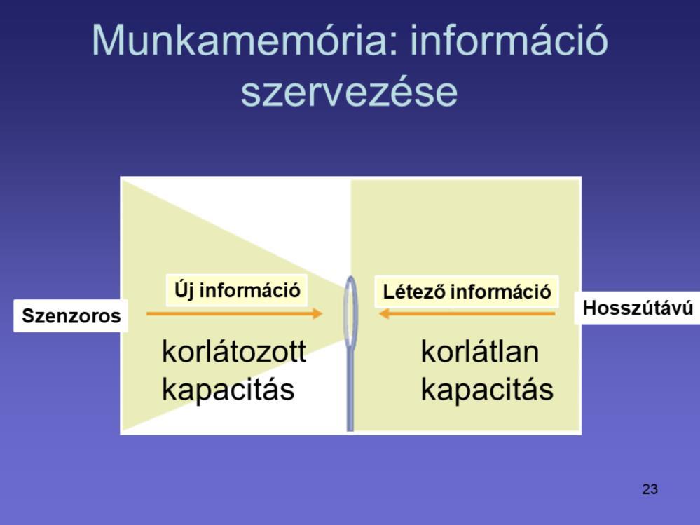 A munkamemória korlátozott képességű az új információt kezelésében az információ megérkezése felől, ahogy a dia bal oldalán látható, de korlátlan képességű a hosszútávú emlékezetből származó