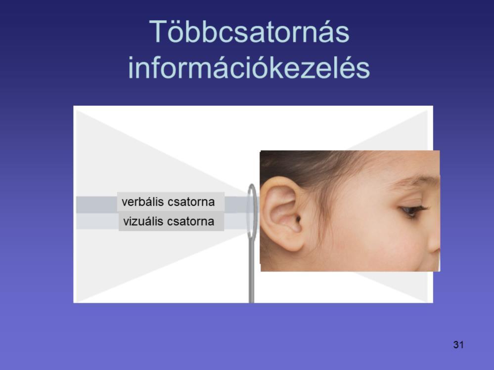 A kutatók úgy gondolják, hogy munkamemóriában többszörös csatornák dolgozzák fel és tárolják az információt, egy verbális és egy vizuális