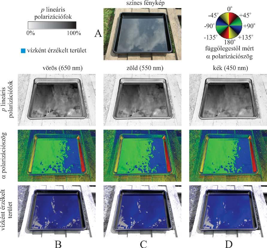 8. ábra: A fekete olajtálcáról készült színes fotó és a képalkotó polarometriával mért polarizációs mintázatok. A második sorban a ρ lineáris polarizációfok, a 3.