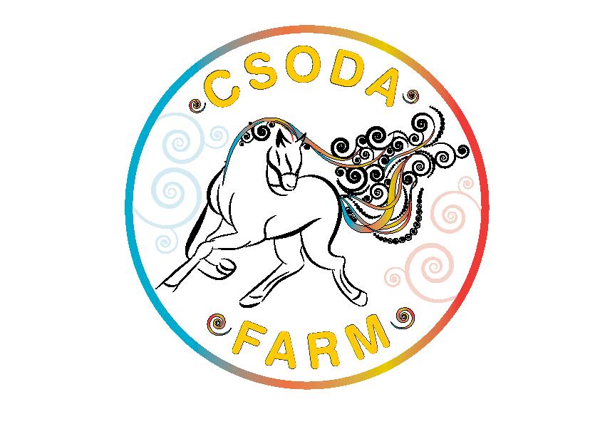 A CSODAFARM FEJLESZTŐ ÉS