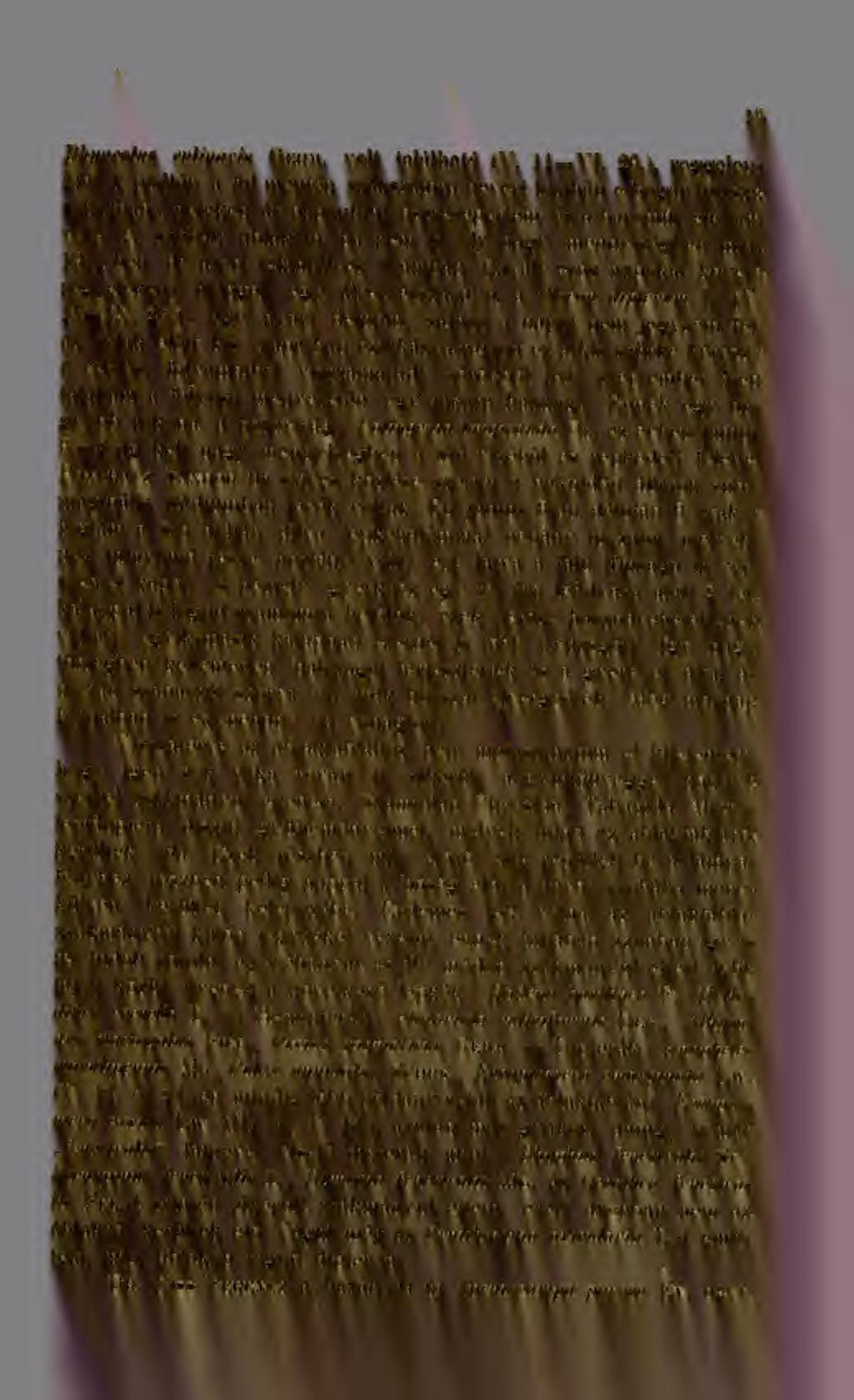 13. Rhyncolus culinaris Germ. volt található (V. 11 VI. 26.