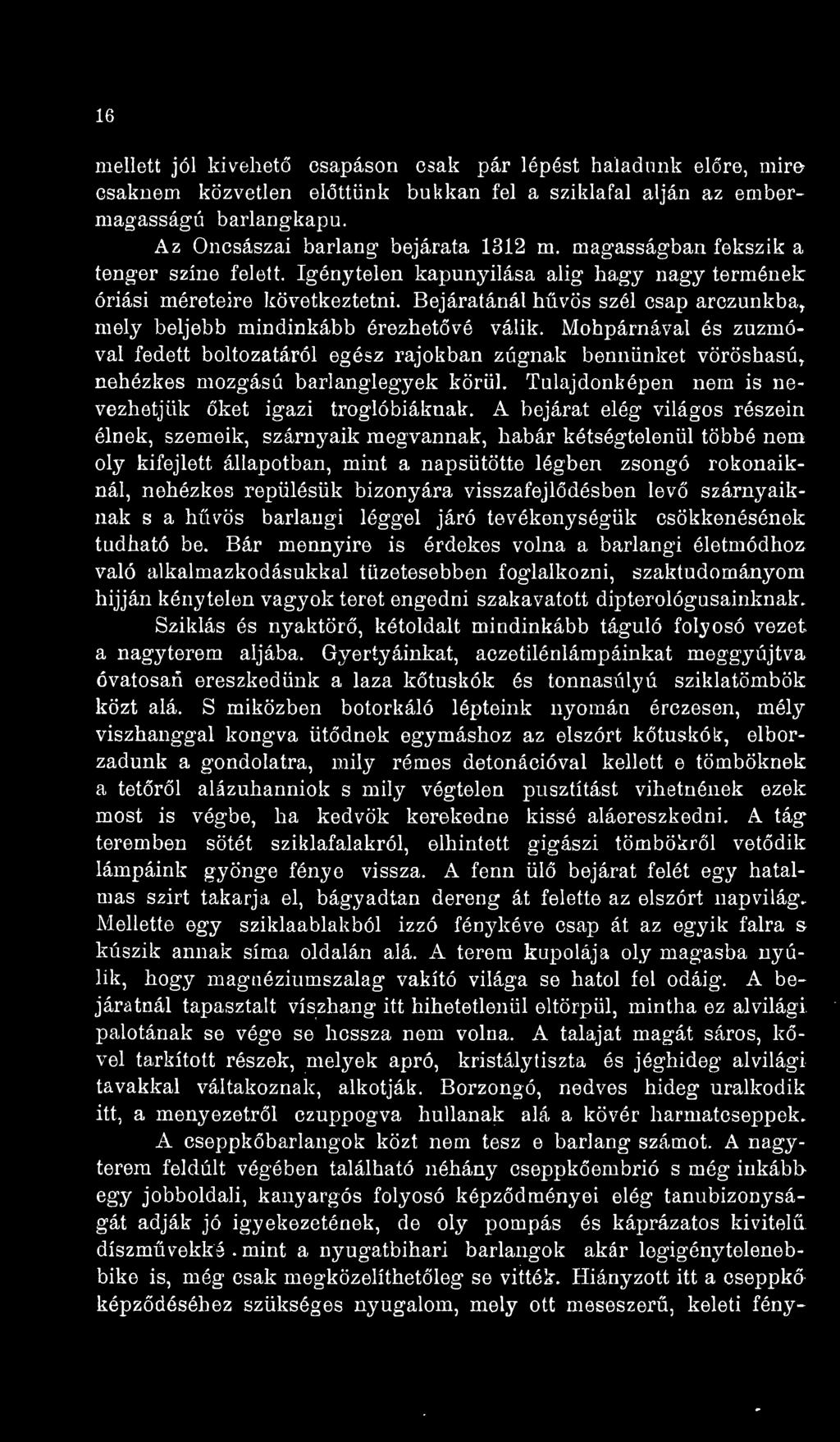 Mohpárnával és zuzmóval fedett boltozatáról egész rajokban zúgnak bennünket vöröshasú^ nehézkes mozgású barlanglegyek körül. Tulajdonképen nem is nevezhetjük ket igazi troglóbiáknak.