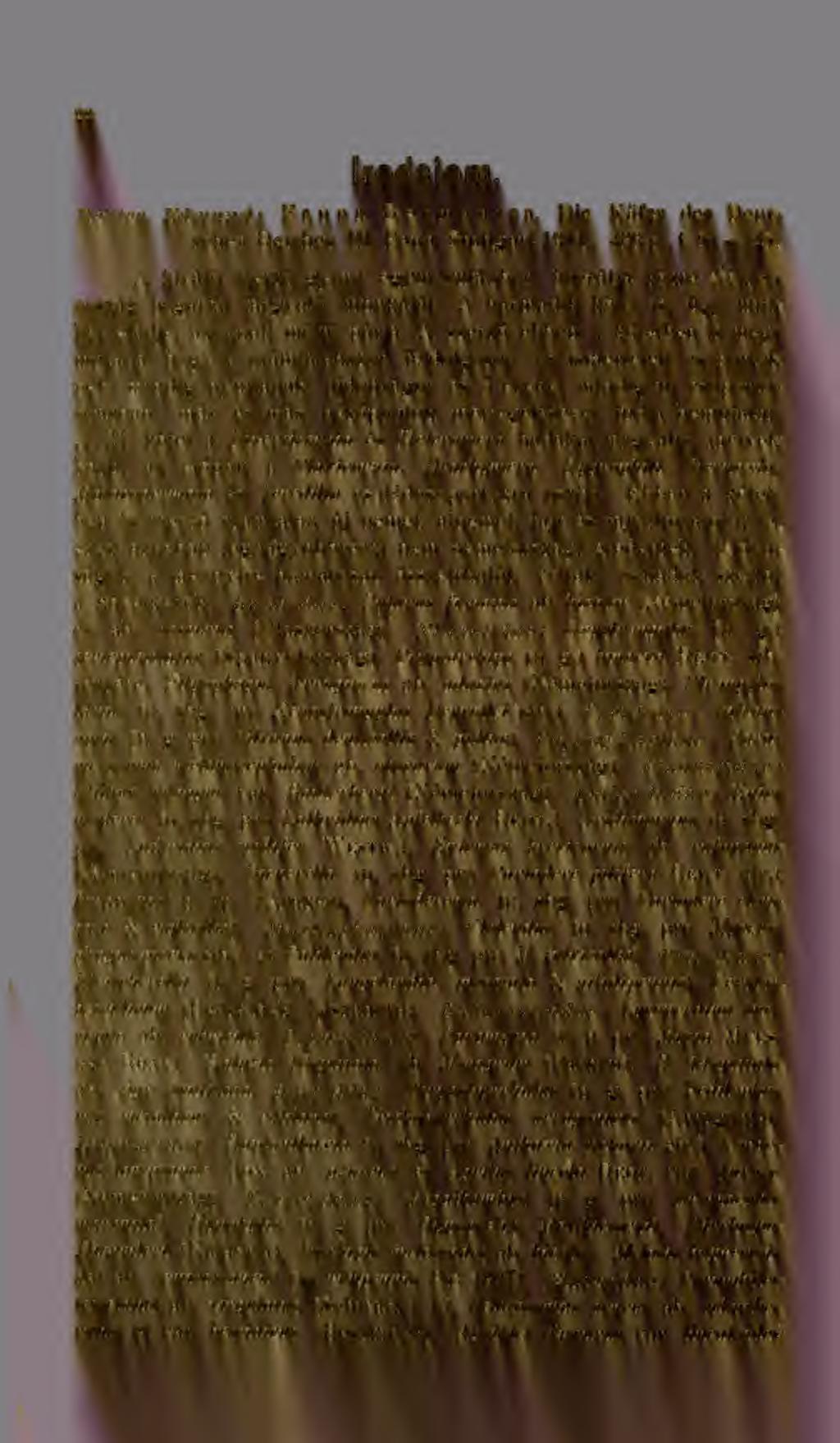 22 Irodalom. Reitter, Edmund: Fauna G e r m a n i c a. Die Kafer des Deutschen Reiches III. Bánd. Stuttgart 1911 ; 436 p., t. 81-128.
