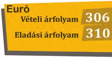 Tudakold meg a konyhán, hogy mekkora adagot kap egy-egy tanuló, vagyis hány dkg krumpli, rizs, hús, hány dl leves, főzelék stb. kerül a tányérodra!