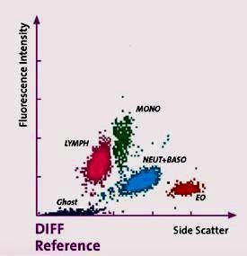 Felhődiagram