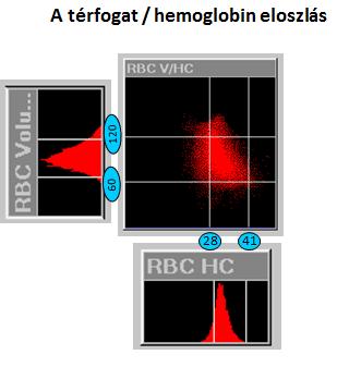 A vörösvérsejtek optikai detektálása RBC citogram: x