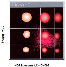 41 g/dl Hemoglobin koncentráció Méret szerint: Mikrocitás